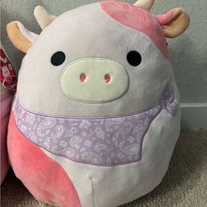 Squishmallows bundle